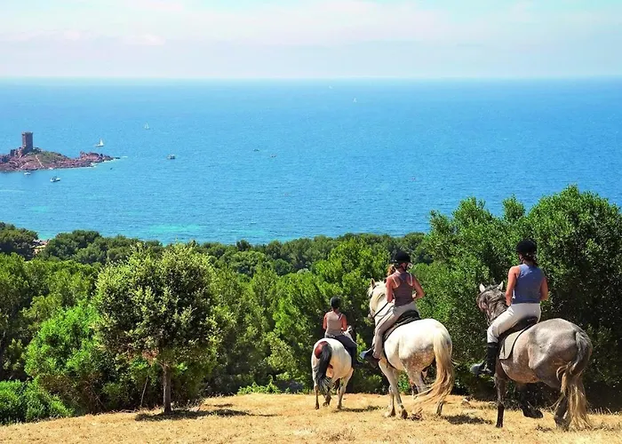 Cap Esterel, T2 Vue Mer 4 Couchages Adapte Pmr