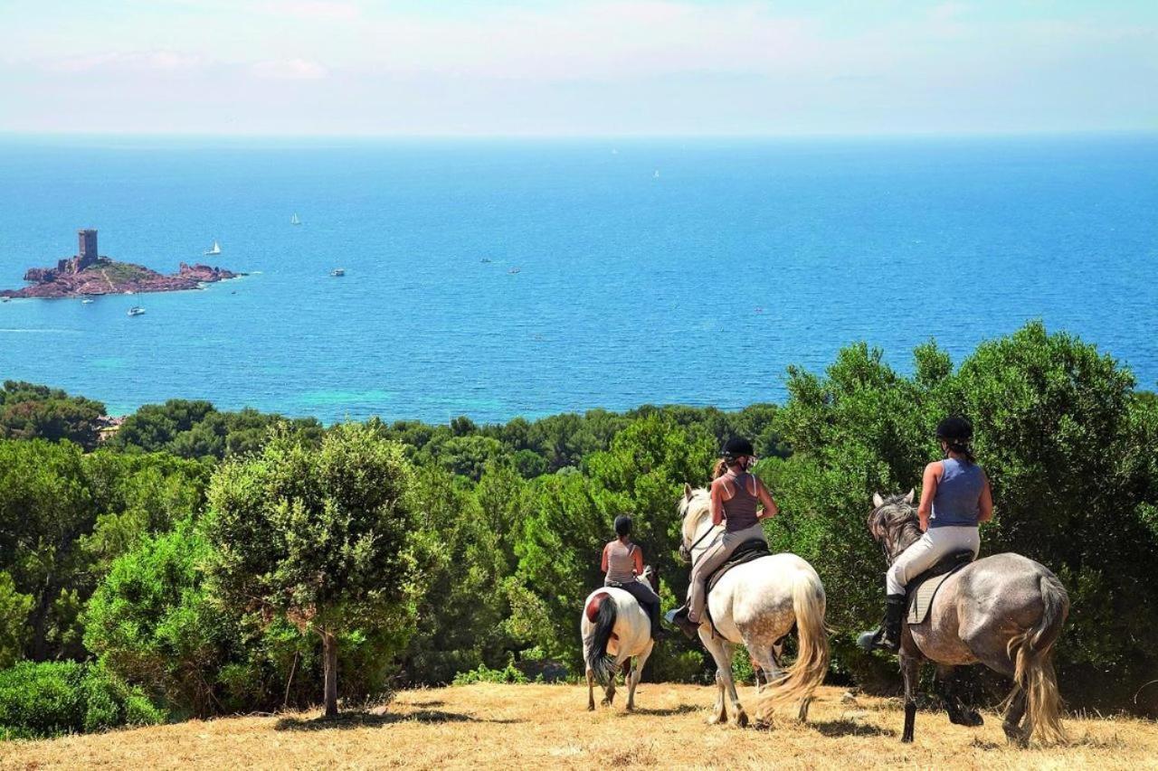Cap Esterel, T2 Vue 4 Couchages Adapte Pmr *